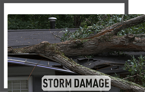 Nick's Roofing Experts Images